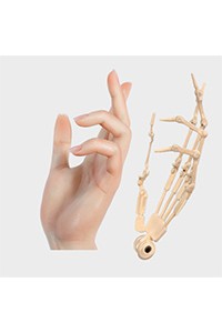 Doll Senior 148cm Cカップ 萌音 軟性シリコンヘッド オーラル機能+口開閉機能あり+模擬口腔付き 掲載画像はフルシリコン製ラブドール