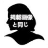 掲載画像と同じ