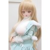 A1(+6,000円)