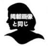 掲載画像と同じ
