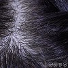 ブラック-植毛(+35,000円)