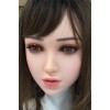 硬質ヘッド[（模擬口腔+オーラル機能＋顎関節)無し]