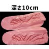 10cm