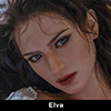 Elva（ROSヘッド限定、硬めヘッド不可）