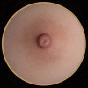 生身の人間仕上げ - 乳輪カラー#1