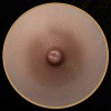 生身の人間仕上げ - 乳輪カラー#3
