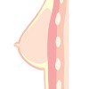 希望しない