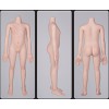 100cm バスト平