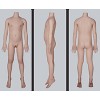 120cm バスト平(+60,000円)