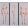 137cm バスト平(+80,000円)