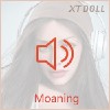 音声機能あり(5点発声)(+15,000円)