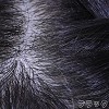 ブラック-植毛(+35,000円)