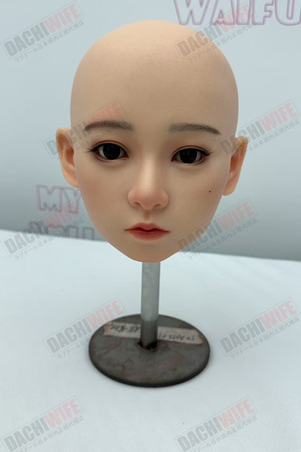 My Loli Waifu 略称MLW 最新作 トルソー 83cm Bカップ 千晴頭部 フルシリコン製ラブドール