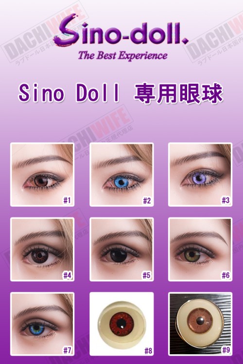 【即納・国内在庫品・送料無料】Sino Dollラブドール 専用眼球 アイ 1セット売りEYE 目