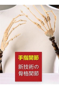 XYDOLL 158cm Cカップ #O頭部 高級シリコン頭部+TPE材質ボディ 身長など選べる